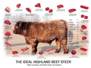 beef